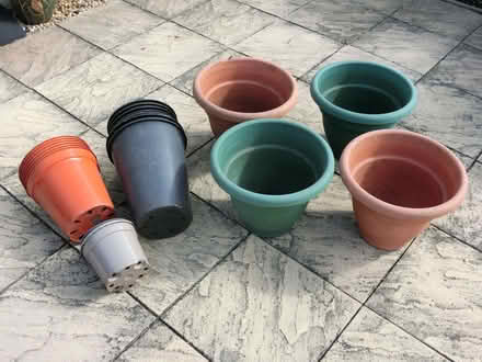 Photo of free Large Pots (North Ascot SL5) #1