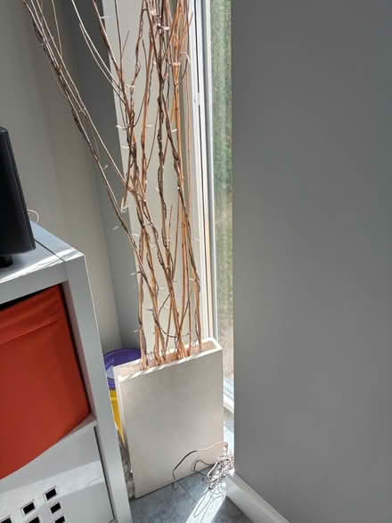 Photo of free Light up twig vase (Prestbury, SK10) #2