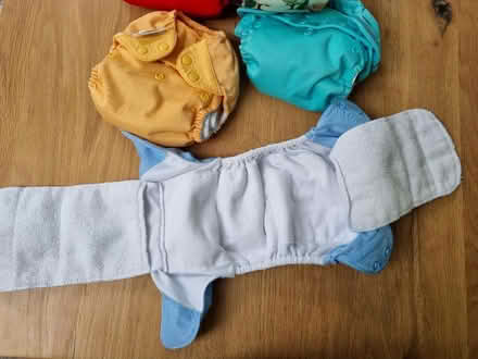 Photo of free 5x bumgenius cloth nappies (Tolworth KT6) #3