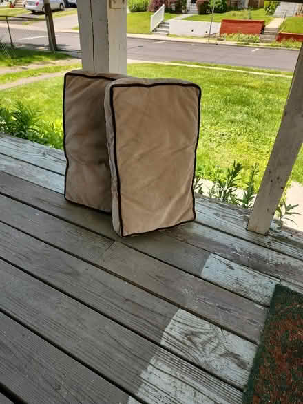 Photo of free Chair Cushions (Ambler) #3