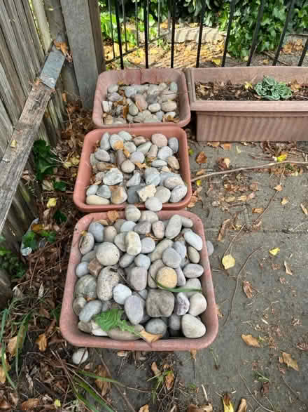 Photo of free Garden cobble stones (Wanstead High Street) #4