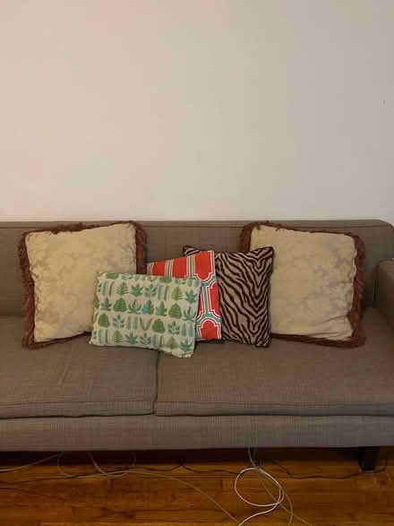 Photo of free Cushions (Flatbush/PLG) #1