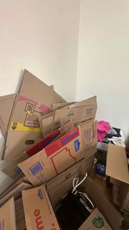 Photo of free moving boxes (RSM) #1