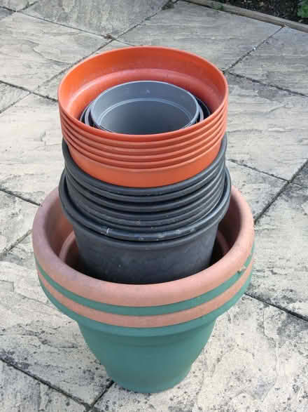 Photo of free Large Pots (North Ascot SL5) #2