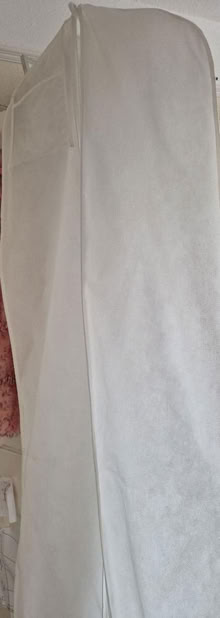 Photo of free Wedding Dress cover (Stratton-on-the-Fosse BA3) #1