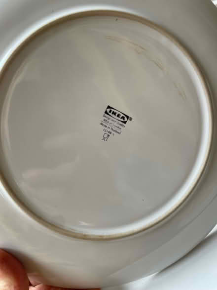 Photo of free plates and bowls (Kenilworth) #3