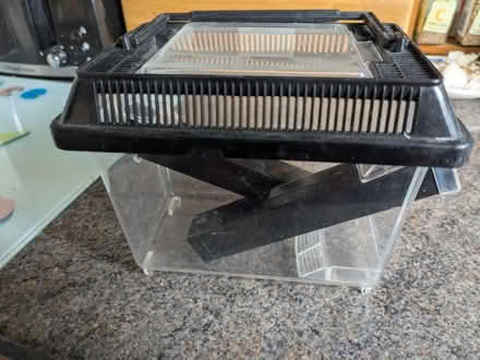 Photo of free Live food tank (Longlevens, Gloucester) #2