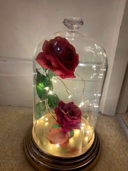 Photo of free Decorative light (Hereford, HR2, Ross road) #2