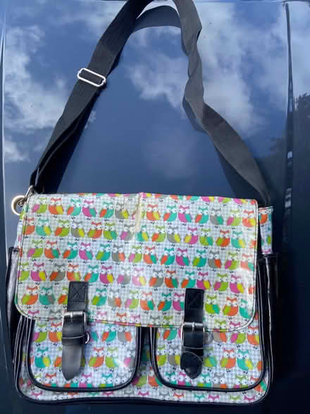 Photo of free Owl bag (Locks Heath SO31) #1
