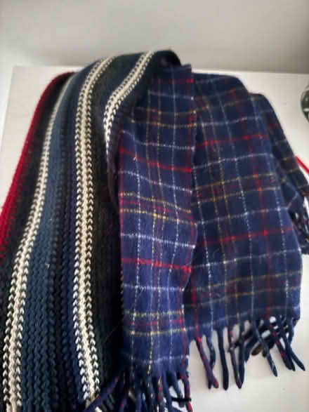 Photo of free Two scarves (GL3) #1