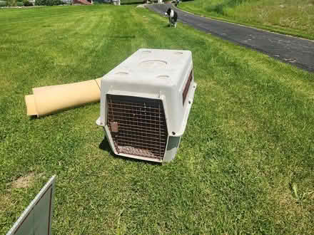 Photo of free Dog crate (VIRGIL) (virgil) #1