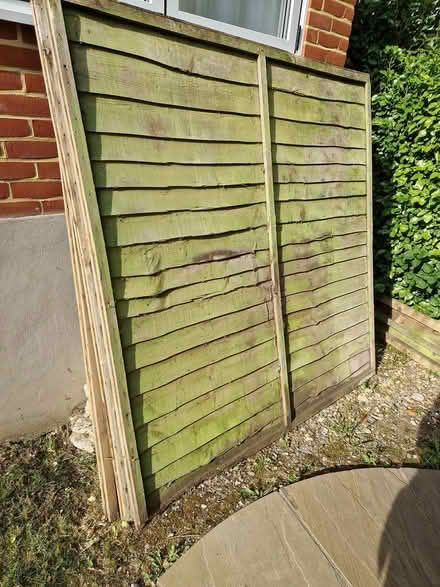 Photo of free 6ft fence panels (BH10) #1