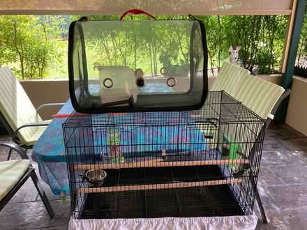 Photo of free bird cage (Capalaba) #1