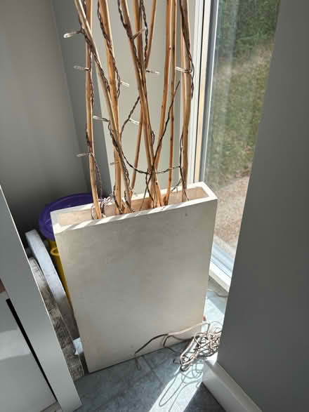Photo of free Light up twig vase (Prestbury, SK10) #3