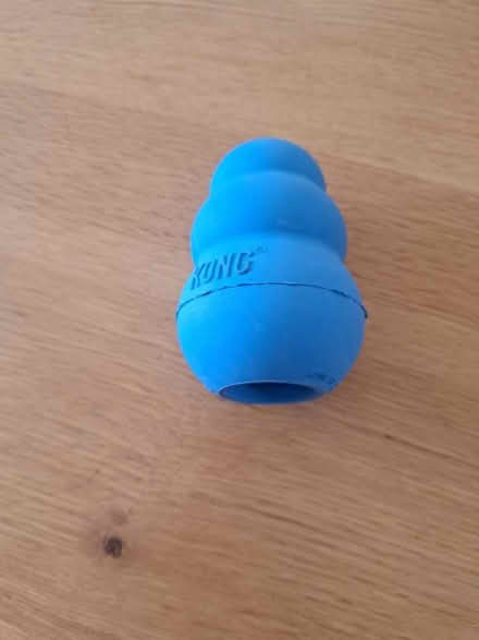 Photo of free Kong Dog Toy (Woodley RG5) #1