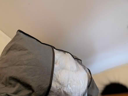 Photo of free Single duvet - two (Colchester CO1) #2