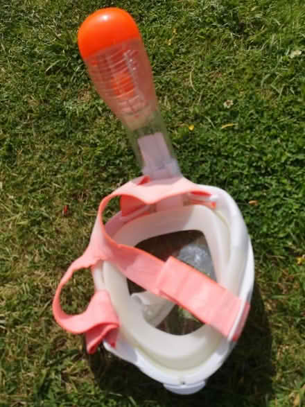 Photo of free Snorkel face mask XS (Fareham PO15) #2