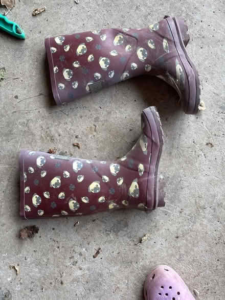 Photo of free Wellies size 5 adult (Colwall WR13) #1