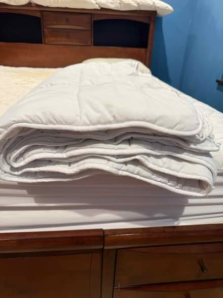 Photo of free Twin XL(dorm) bedding (95070) #1