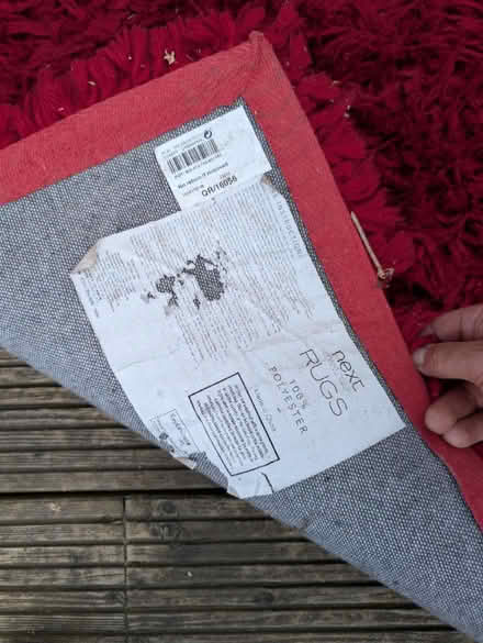 Photo of free Red deep pile Next rug (WR2 St Johns, Worcester) #3