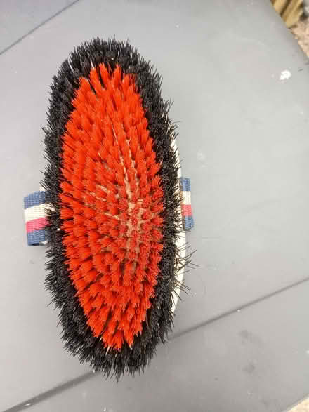 Photo of free Grooming brush (North Sunderland NE68) #1