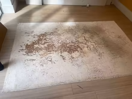 Photo of free Area Rug (West Brompton SW6) #1