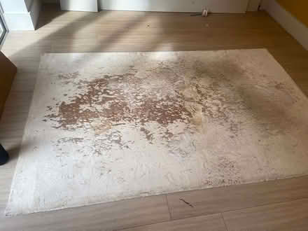 Photo of free Area Rug (West Brompton SW6) #1