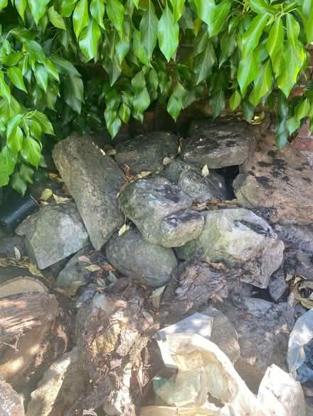 Photo of free Large Ornamental Rocks from Rock garden (Marden TN12) #2