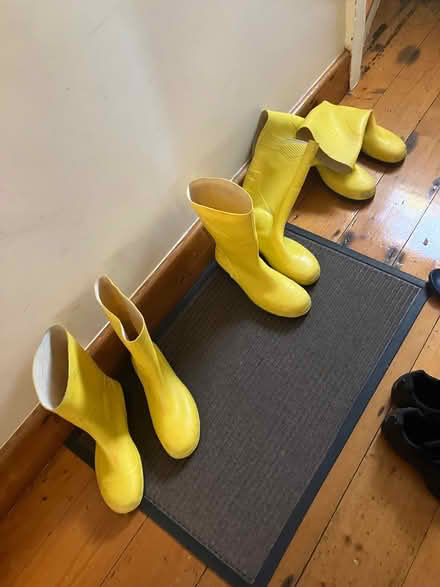 Photo of free Boots (Harolds cross) #1