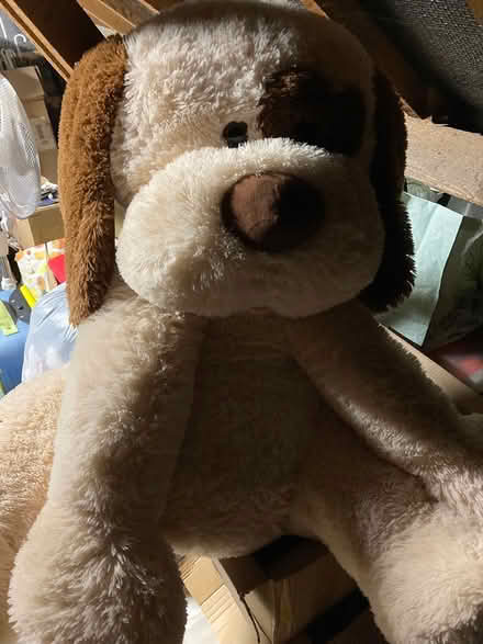 Photo of free Cuddly toy dog large (Alvechurch B48) #1