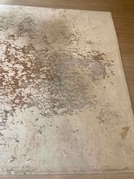 Photo of free Area Rug (West Brompton SW6) #4
