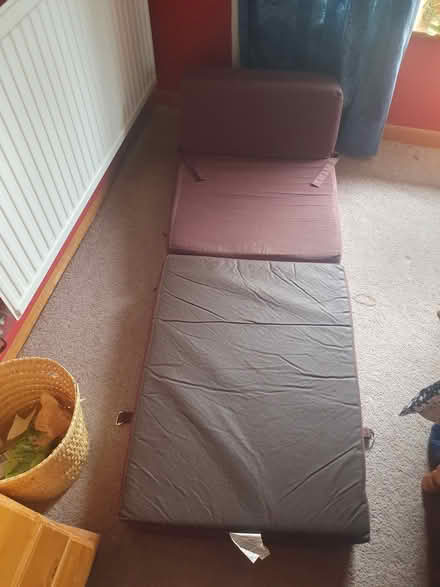 Photo of free fold out bed/chair (Watlington OX49) #1