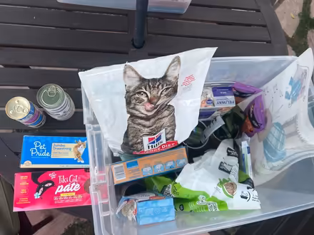 Photo of free Cat Supplies (La Tijera Village) #1
