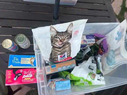 Photo of free Cat Supplies (La Tijera Village) #1