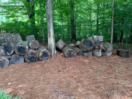 Photo of free Seasoned wood (Kernersville by New Food Lion) #1