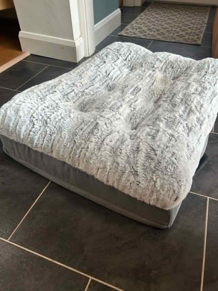Photo of free Dog bed (Holbrook, Belper, DE56) #2