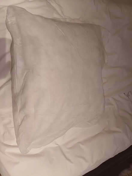 Photo of free Cushion (Summertown OX2) #1