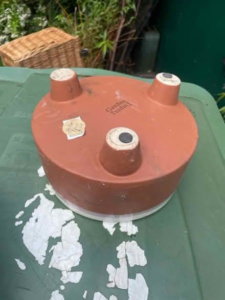 Photo of free Bulb bowl (Lee green) #1