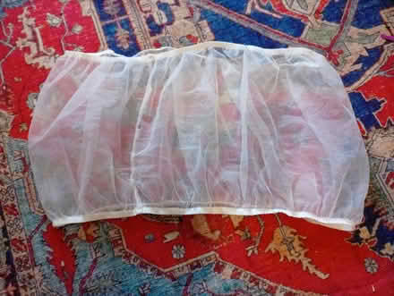 Photo of free Bird cage seed net (Buxworth SK23) #1