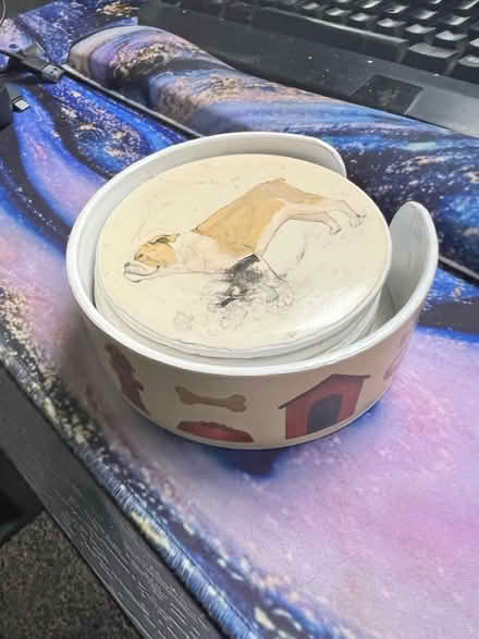 Photo of free Dog cup coasters (Boulder Ridge Apartments) #1