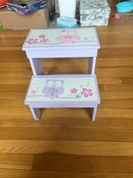 Photo of free Little Kids stepstool (Near School at Mount Auburn.) #1