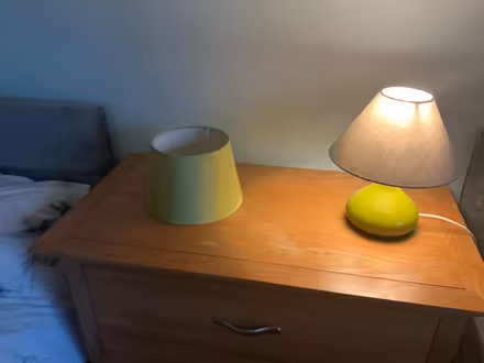 Photo of free Lampshade (Harrogate HG1) #2