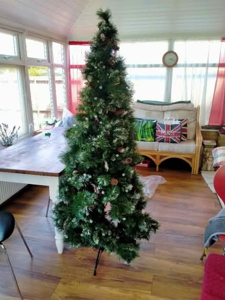 Photo of free Christmas Tree (CT10) #1