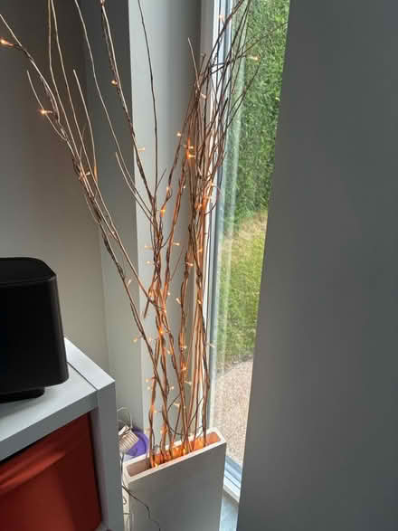Photo of free Light up twig vase (Prestbury, SK10) #1