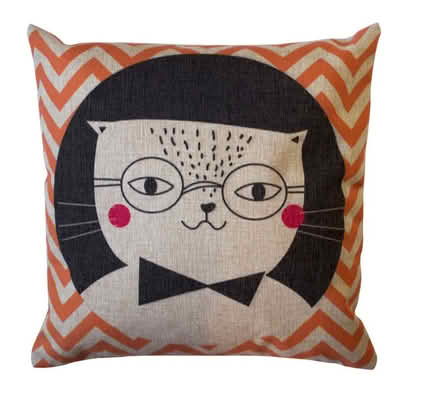Photo of free set of 2 Hipster Cat Pillow Covers (Sunnyvale CA) #1