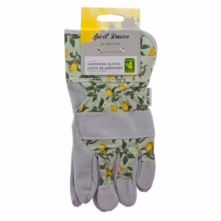 Photo of free Gardening gloves (Quickie on Parkdale & Scott) #1