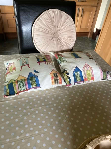 Photo of free Selection of cushions (Horwich BL6) #1