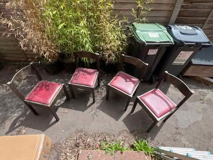 Photo of free 4 dining chairs (Wateringbury ME18) #1