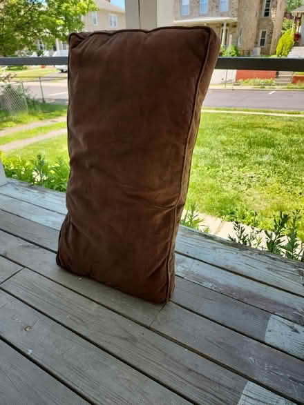 Photo of free Chair Cushions (Ambler) #2