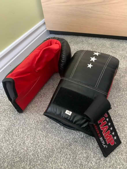 Photo of free Boxing gloves L/XL (Garston L19) #2